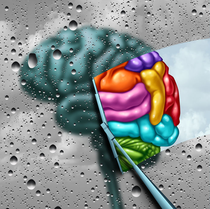 brain